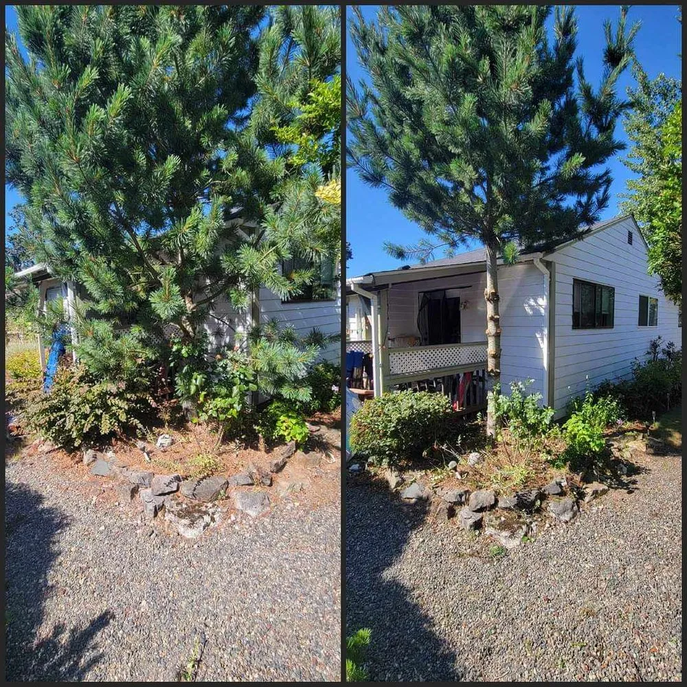 Affordable landscape installation for beautiful yards across Seattle, WA - Birmingham Home Services