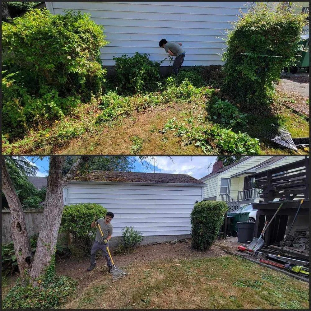 Local yard maintenance for residential properties in Seattle, WA by Birmingham Home Services
