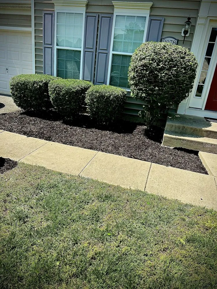 Top-rated lawn mowing service experts serving Bryans Road, MD - Bisanga lawncare