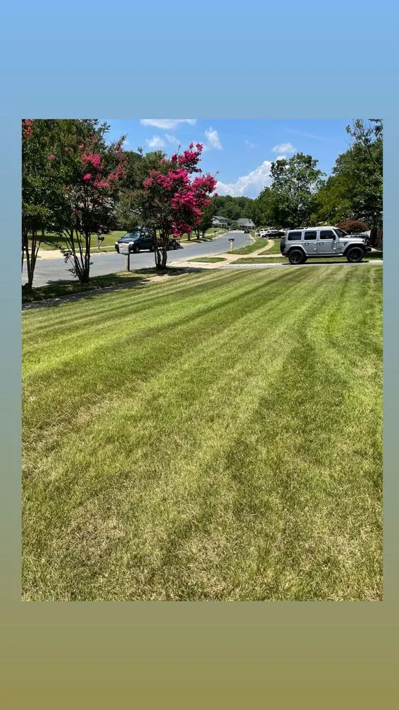 Local landscape installation for residential properties in Bryans Road, MD by Bisanga lawncare