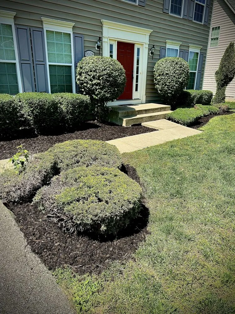 Local landscape design experts serving Bryans Road, MD - Bisanga lawncare