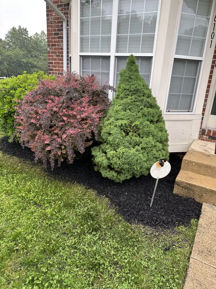 Local landscape design experts serving Bryans Road, MD - Bisanga lawncare