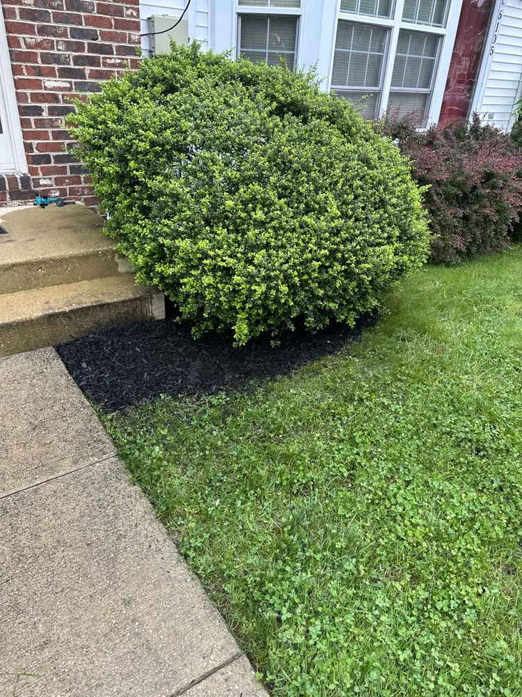 Custom garden landscaping for homes across Bryans Road, MD - Bisanga lawncare