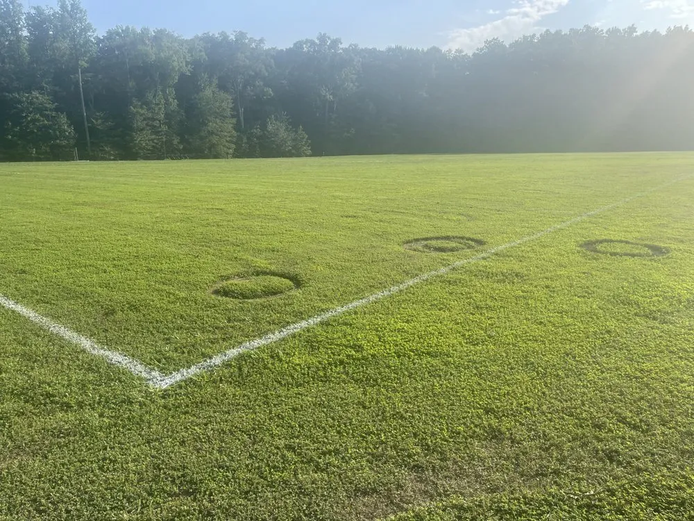 Affordable garden landscaping in Bryans Road, MD - Bisanga lawncare