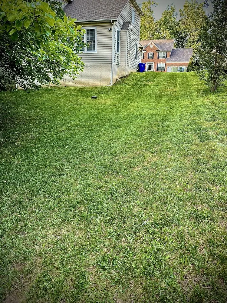 Reliable landscaping services for beautiful yards across Bryans Road, MD - Bisanga lawncare