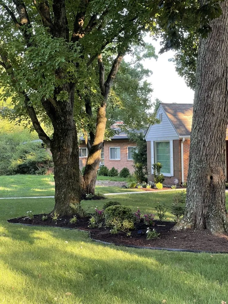 Affordable residential landscaping in Bryans Road, MD - Bisanga lawncare