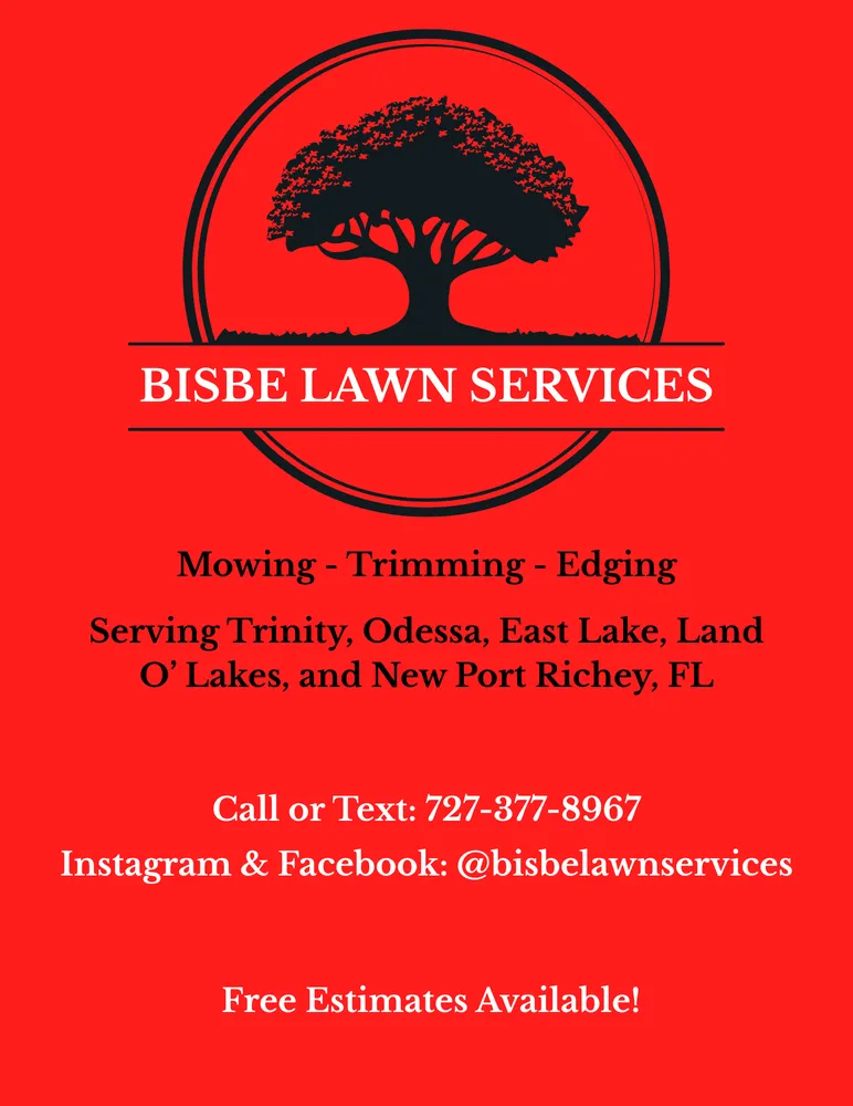 Reliable lawn care service near you in Odessa, FL by Bisbe Lawn Services