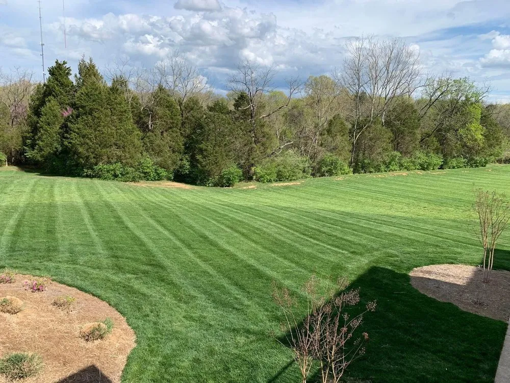 Expert landscape design in Louisville, KY - Bischoff Outdoor Services