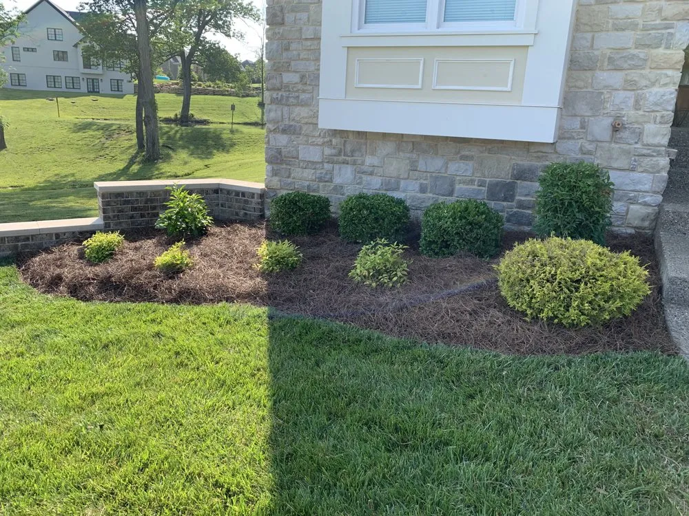 Expert outdoor landscaping experts serving Louisville, KY - Bischoff Outdoor Services