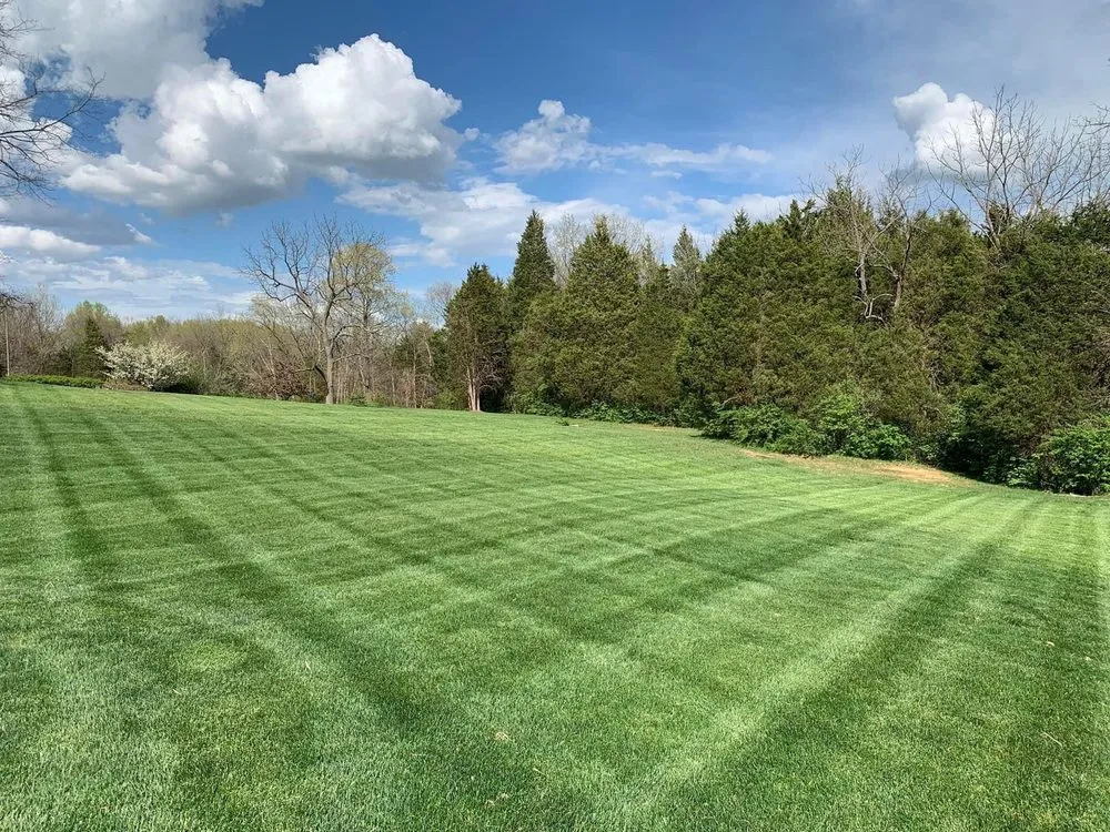 Professional residential landscaping in Louisville, KY by Bischoff Outdoor Services