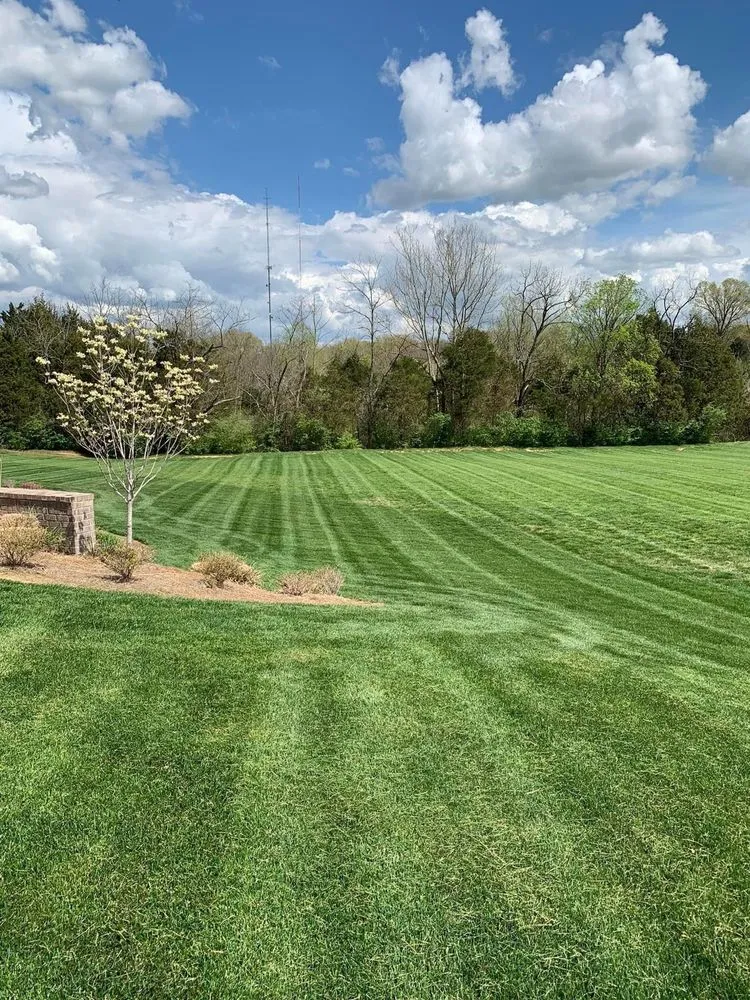 Top-rated landscape installation for residential properties in Louisville, KY by Bischoff Outdoor Services