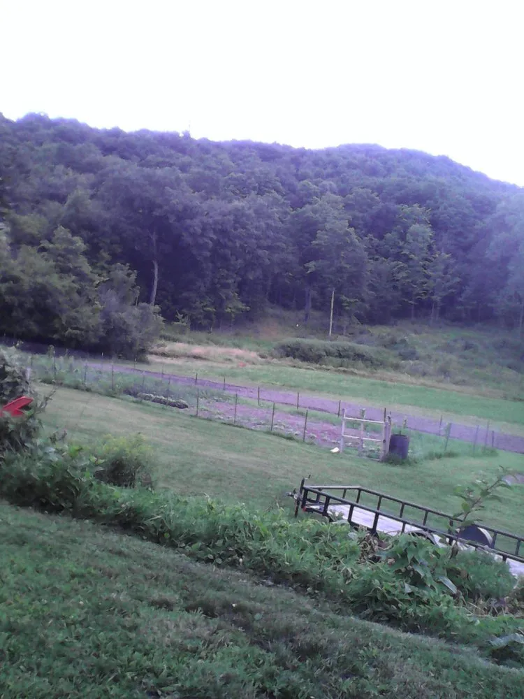 Reliable landscaping services in Chatham, NY by Bishop Lawn Care