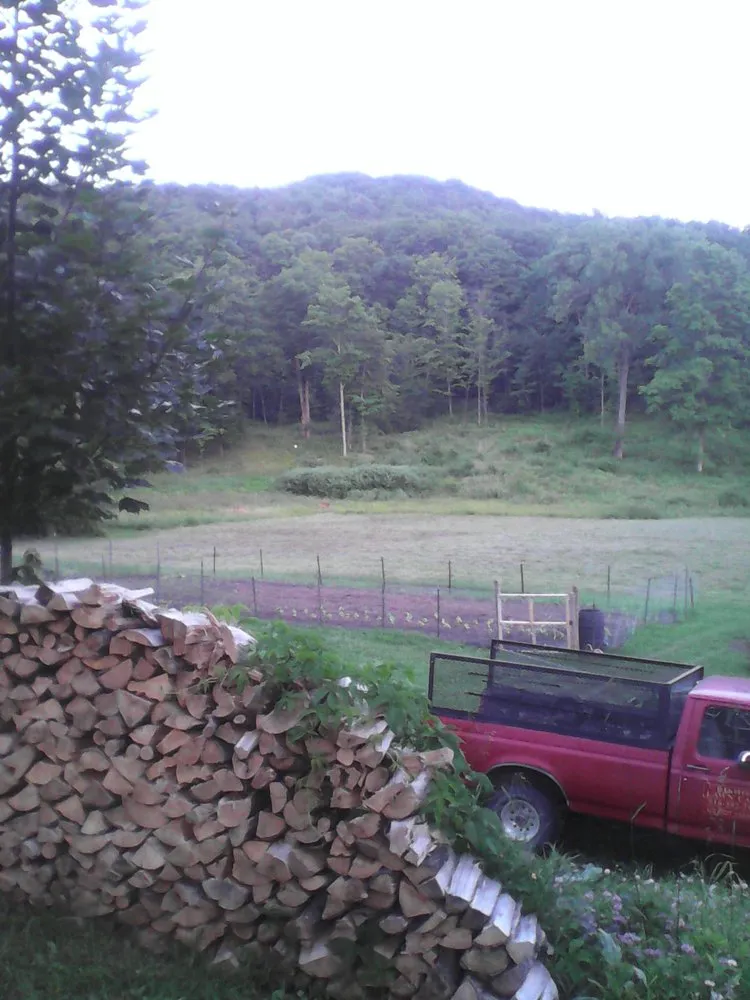 Top-rated lawn mowing service in Chatham, NY - Bishop Lawn Care