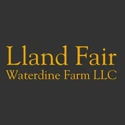 Reliable outdoor landscaping experts serving Chatham, NY - Bishop Lawn Care