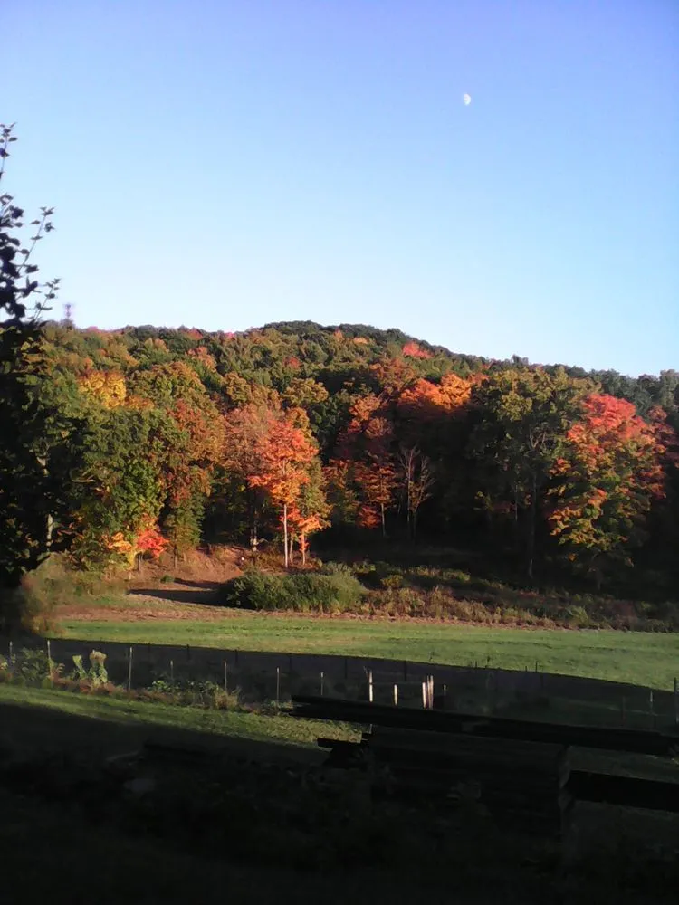 Expert lawn mowing service for beautiful yards across Chatham, NY - Bishop Lawn Care