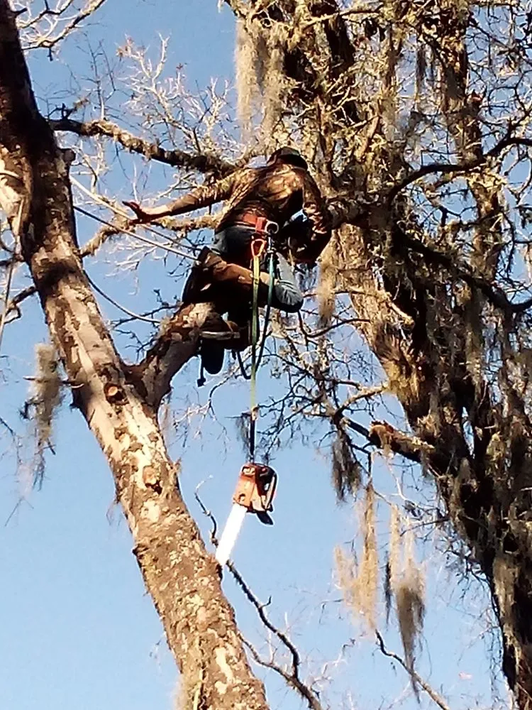 Custom landscape installation with custom design across Silver Springs, FL - Bishop Tree And Lawn