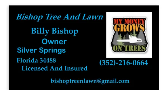 Top-rated landscape installation experts serving Silver Springs, FL - Bishop Tree And Lawn