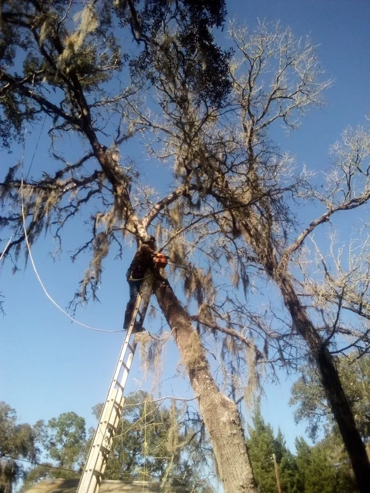 Local garden landscaping in Silver Springs, FL - Bishop Tree And Lawn