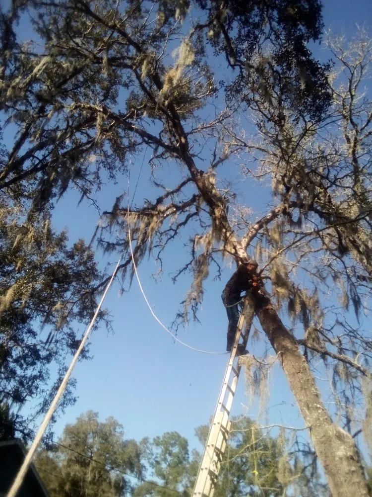 Expert landscape design experts serving Silver Springs, FL - Bishop Tree And Lawn