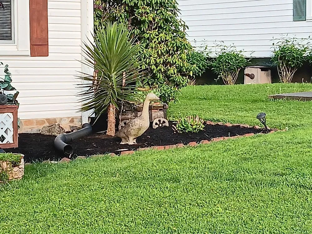 Custom landscape design in Kingsport, TN by Bishop's Lawn Services and More