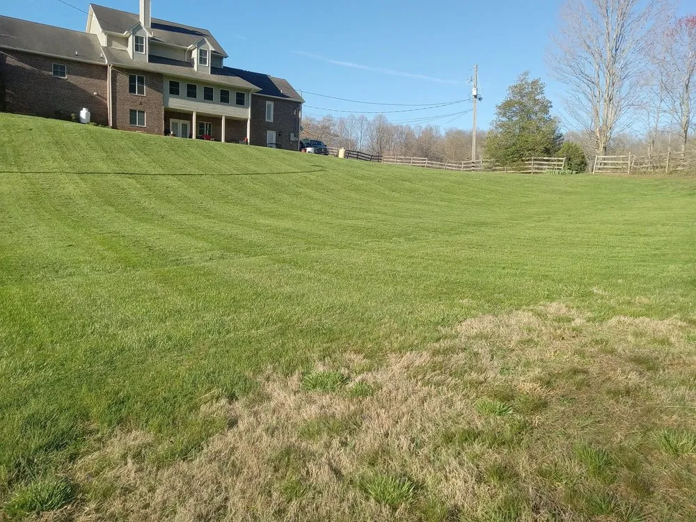 Professional landscape design experts serving Kingsport, TN - Bishop's Lawn Services and More