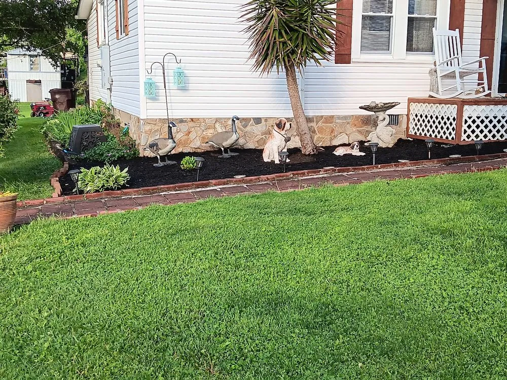 Affordable lawn care service for residential properties across Kingsport, TN - Bishop's Lawn Services and More