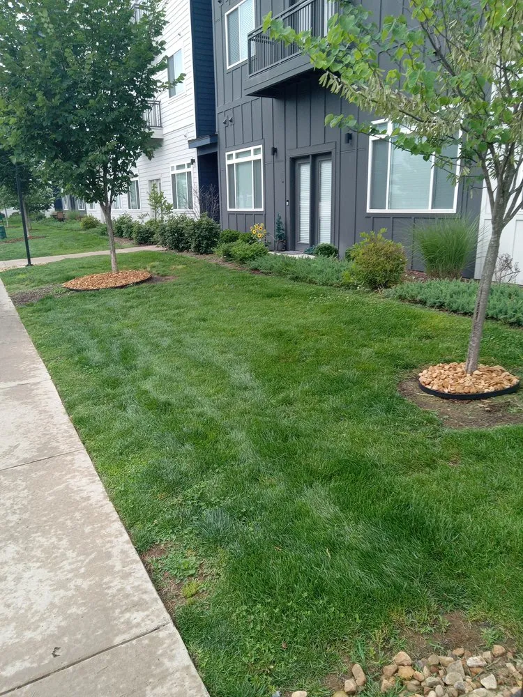 Trusted outdoor landscaping in Kingsport, TN by Bishop's Lawn Services and More