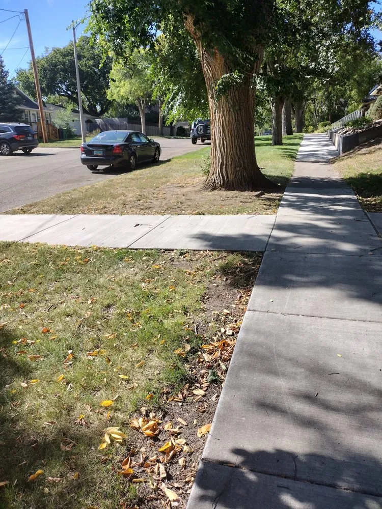 Expert lawn care service experts serving Bismarck, ND - Bismarck Lawn Care