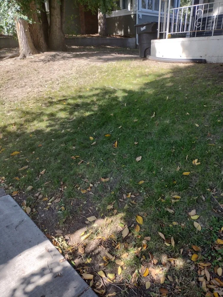 Expert landscape design in Bismarck, ND by Bismarck Lawn Care