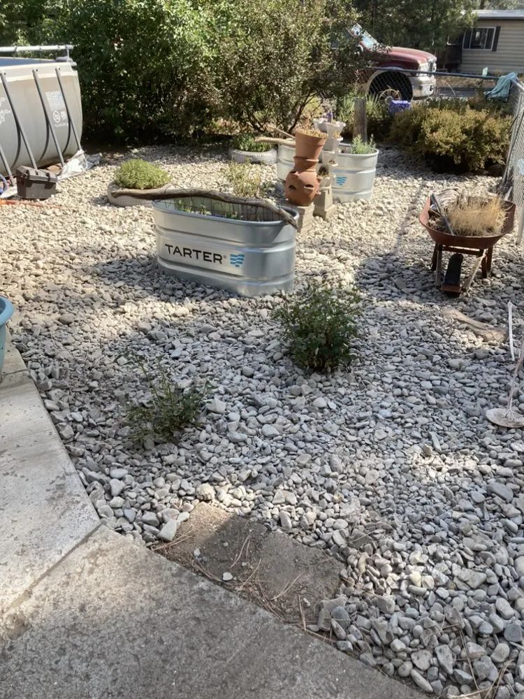 Professional lawn care service in Terrebonne, OR by Bison Creek Company