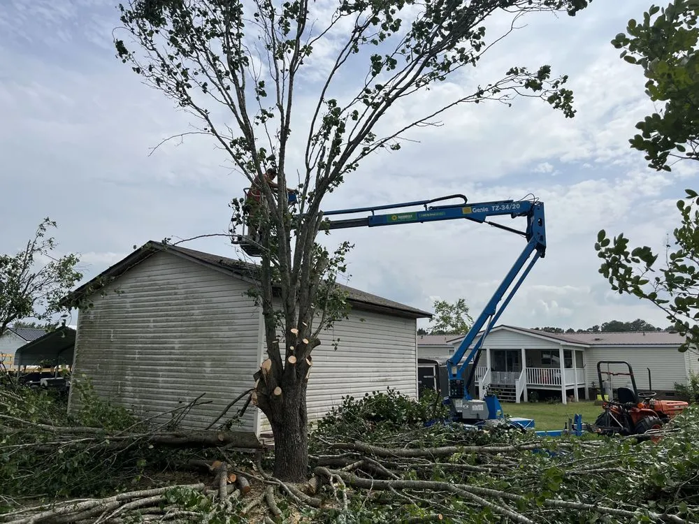 Trusted yard maintenance in Lumberton, NC - BISON Land Professionals