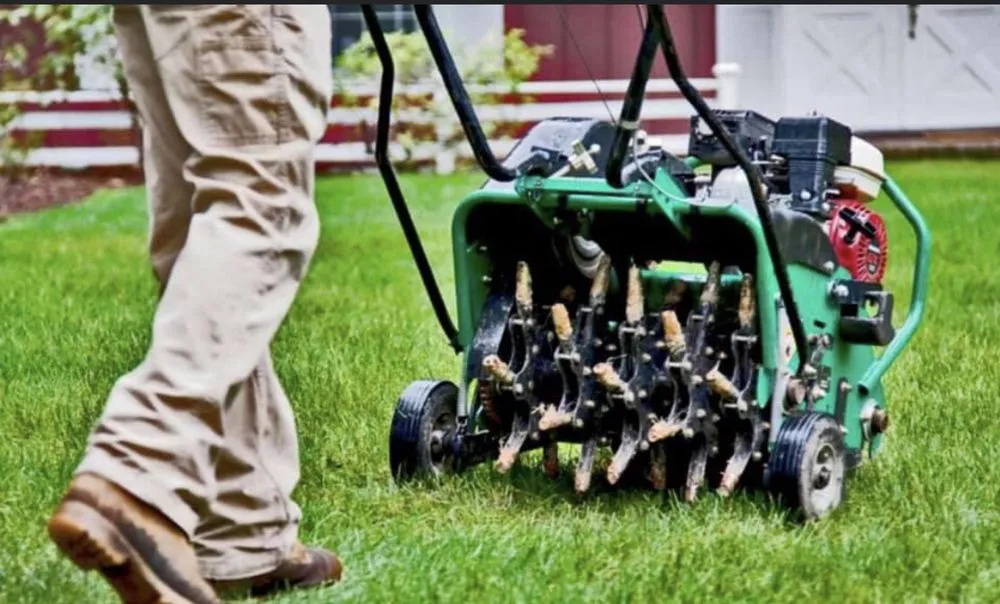 Custom residential landscaping in Ayden, NC by Bison Lawns