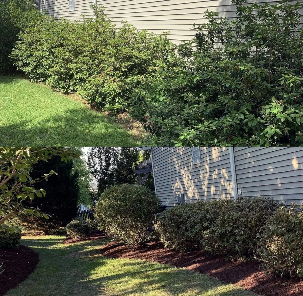 Expert residential landscaping in Ayden, NC by Bison Lawns