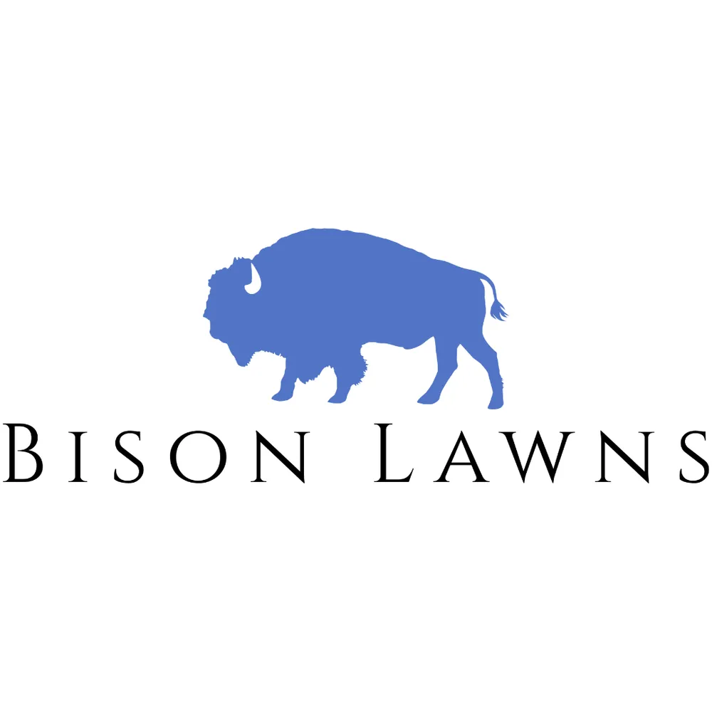 Top-rated outdoor landscaping for beautiful yards in Spring Hill, KS by Bison Lawns
