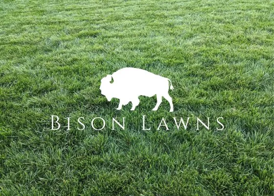 Bison Lawns