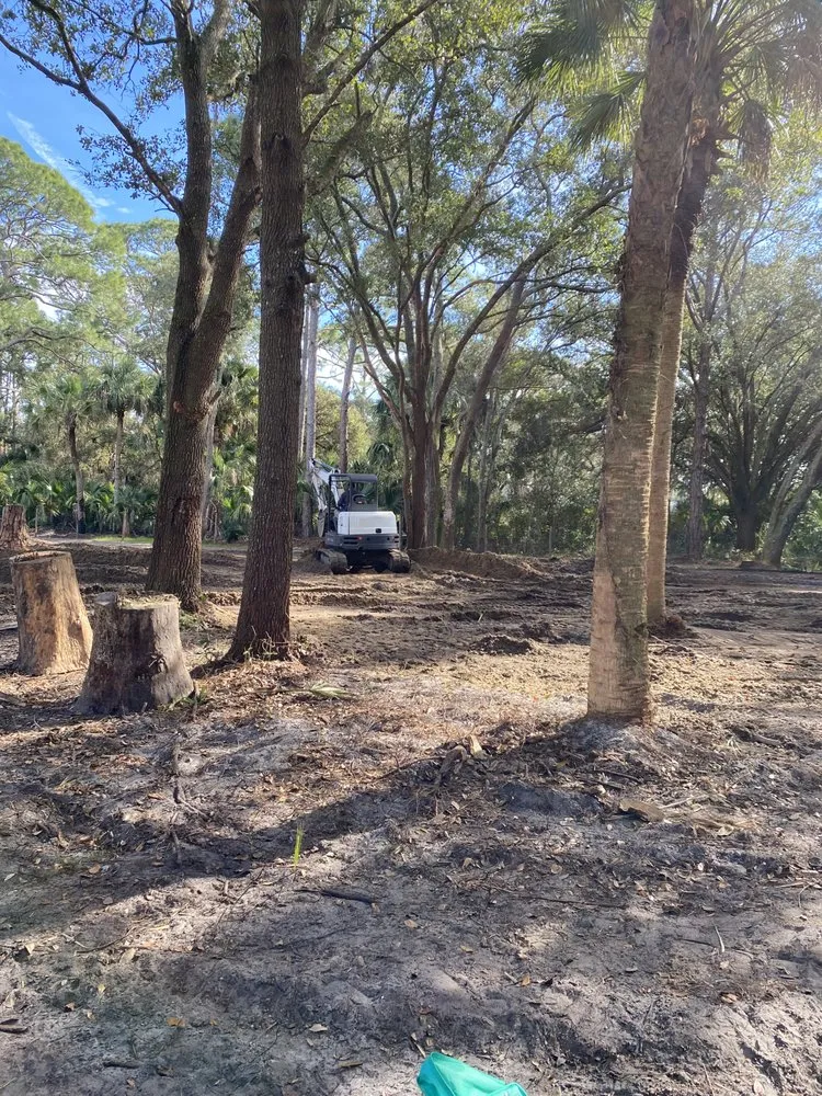 Professional residential landscaping experts serving Cocoa, FL - Bissett & Sons Land Services