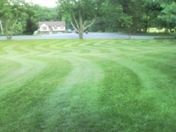 Affordable yard cleanup service in Branchville, NJ - Bit's Lawn & Garden