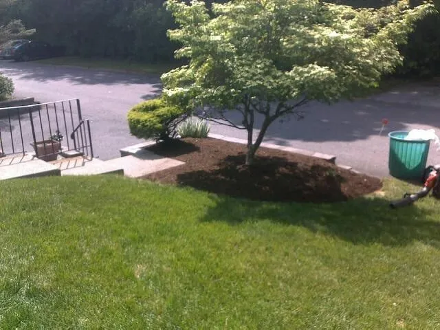Expert yard cleanup service in Branchville, NJ - Bit's Lawn & Garden