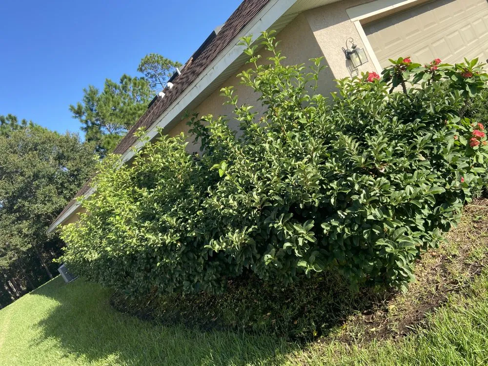 Trusted landscape design for outdoor upgrades in Ormond Beach, FL by Bixby’s Lawn Care