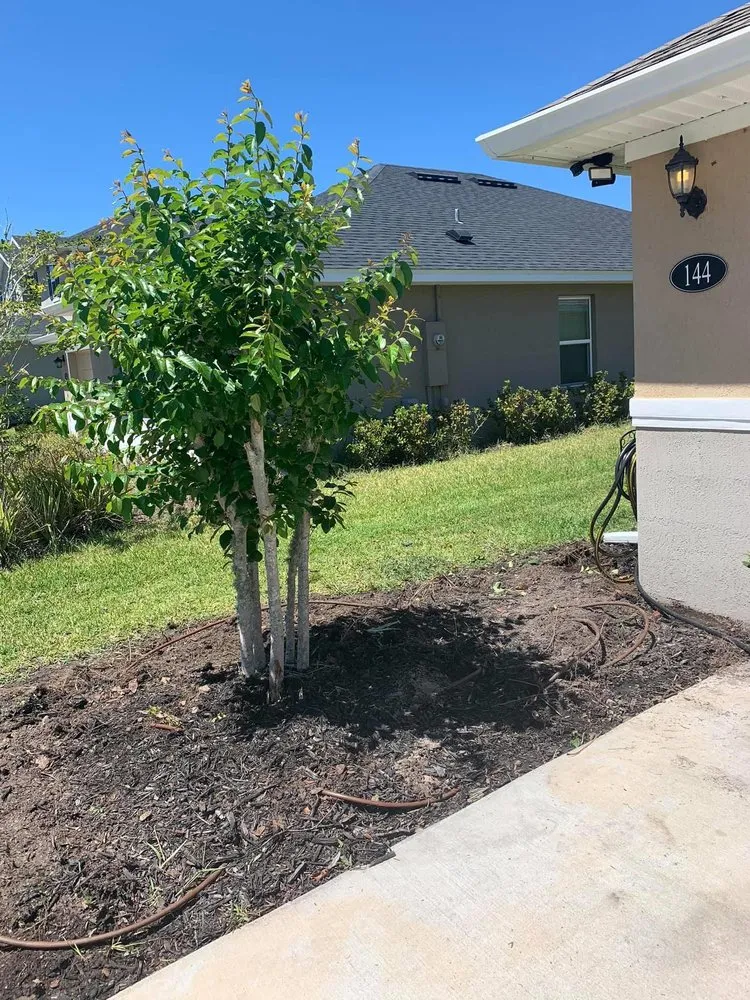 Local landscape design in Ormond Beach, FL - Bixby’s Lawn Care