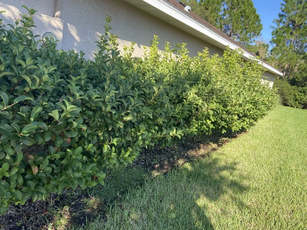 Affordable residential landscaping for beautiful yards across Ormond Beach, FL - Bixby’s Lawn Care