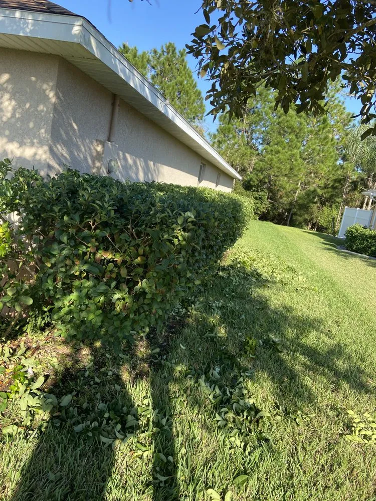 Expert yard cleanup service in Ormond Beach, FL - Bixby’s Lawn Care