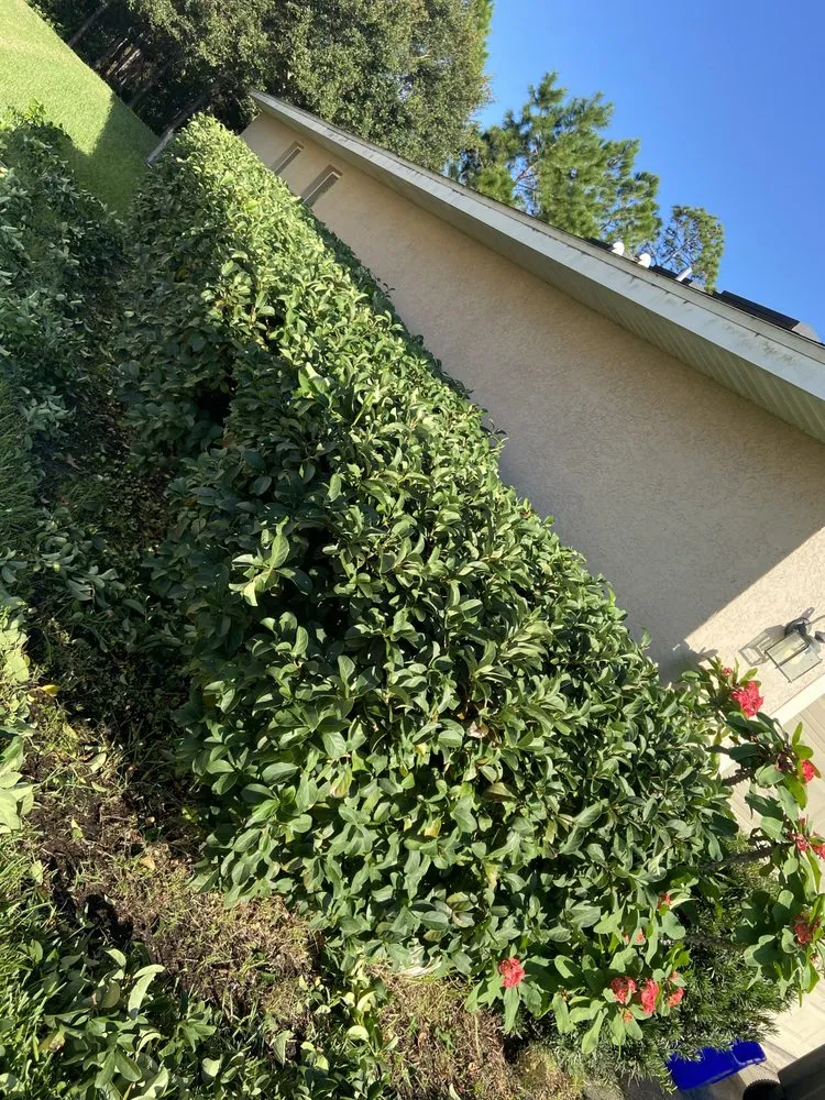 Custom yard maintenance experts serving Ormond Beach, FL - Bixby’s Lawn Care