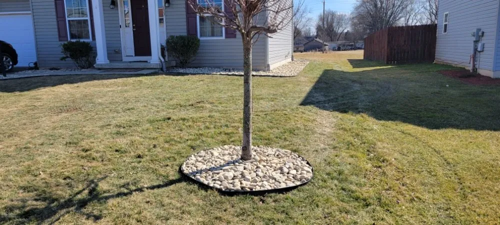 Trusted yard cleanup service in Marietta, PA by Bixler Farm and Lawn