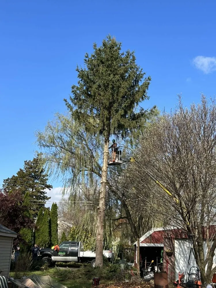 Professional garden landscaping in Marietta, PA by Bixler Farm and Lawn