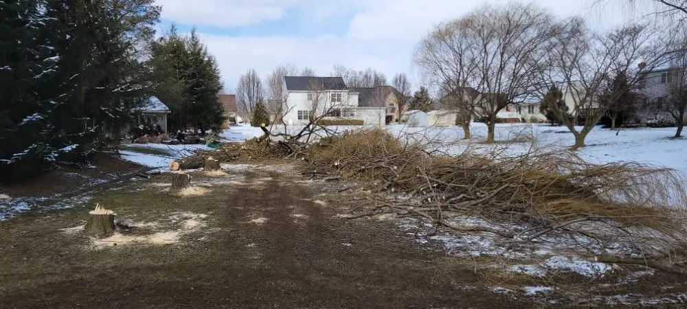 Trusted lawn care service experts serving Marietta, PA - Bixler Farm and Lawn