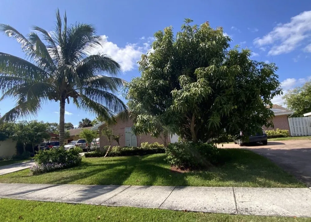 Professional lawn care service experts serving Delray Beach, FL - Bizoniste Hilaire Landscaping and Tree Service