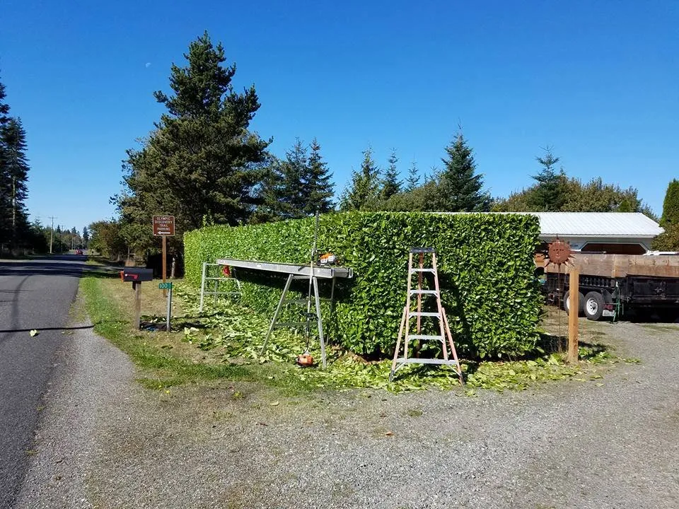 Custom garden landscaping in Port Angeles, WA - Bizy Boys Lawn and Yard Care