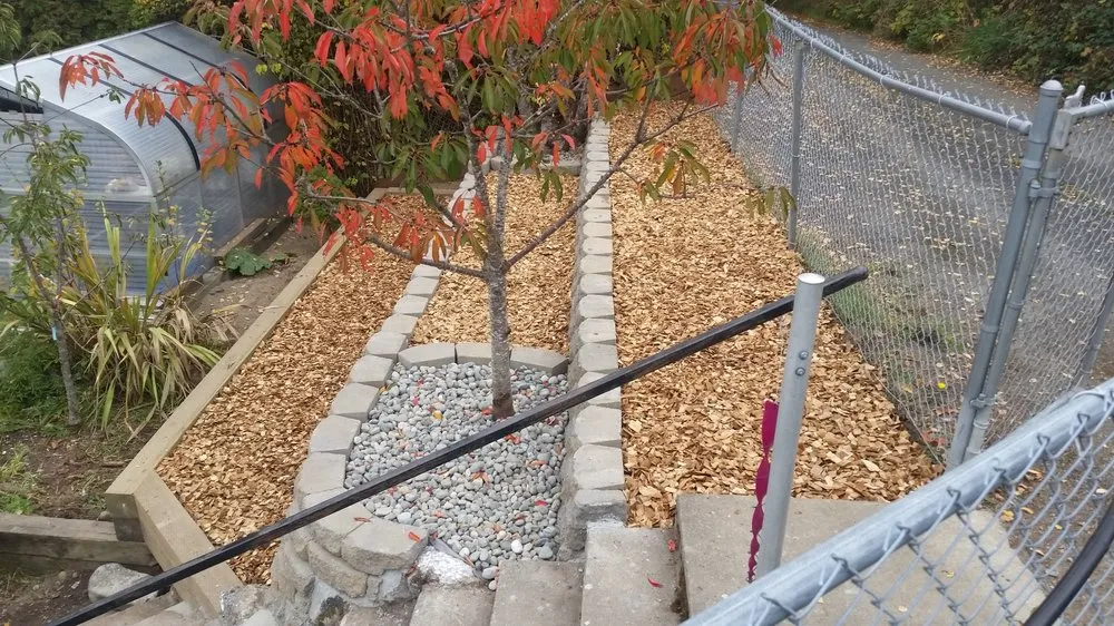 Local yard maintenance in Port Angeles, WA - Bizy Boys Lawn and Yard Care