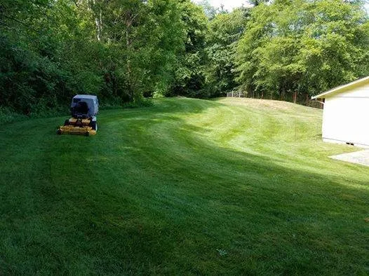 Top-rated lawn care service experts serving Port Angeles, WA - Bizy Boys Lawn and Yard Care